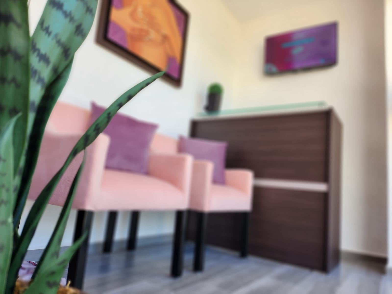 WhatsApp Image 2023-08-12 at 3.15.33 PM